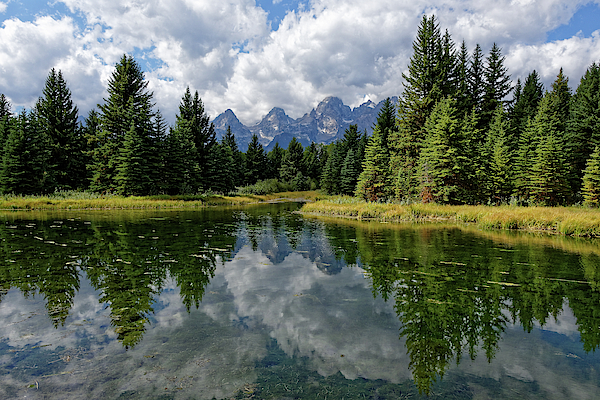 Beaver Pond -- Teton Range from Schwabacher Landing Grand Teton National Park, Wyoming by Darin Volpe Beaver Pond -- Teton Range from Schwabacher Landing Grand Teton National Park, Wyoming by Darin Volpe